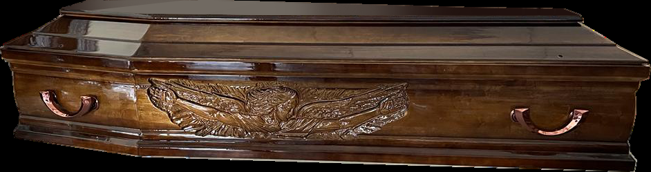 Model 528 Angel